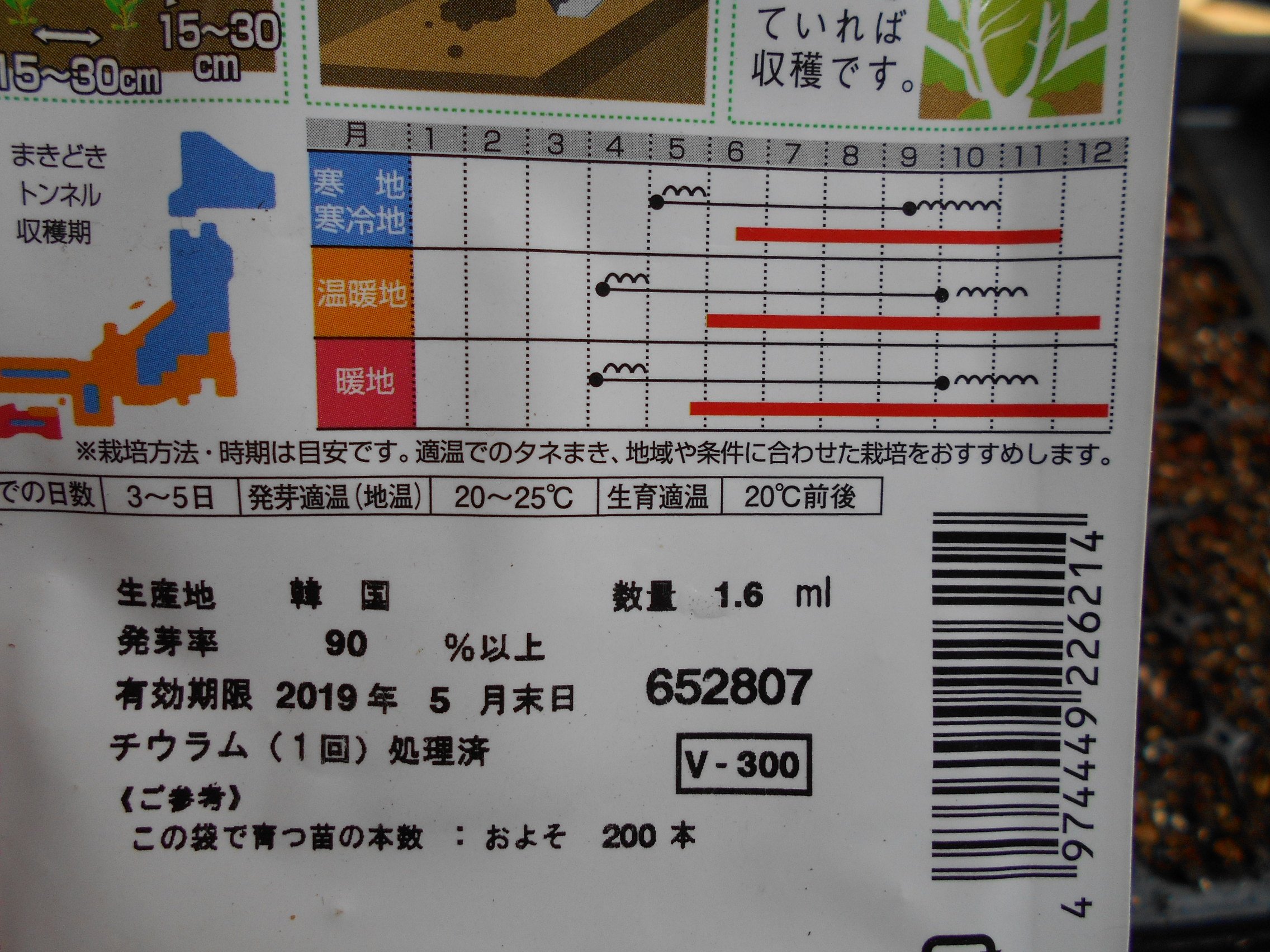 うさ 8 24 ミニ白菜 タイニーシュシュシュ 発芽しています 紫奏子 も僅か蒔いてますが 発芽率7割でしょうかね そんなに数はいらないのですが なかなか育てにくいので上手く収穫まで漕ぎ着けたいです T Co Znbu7wad8a Twitter