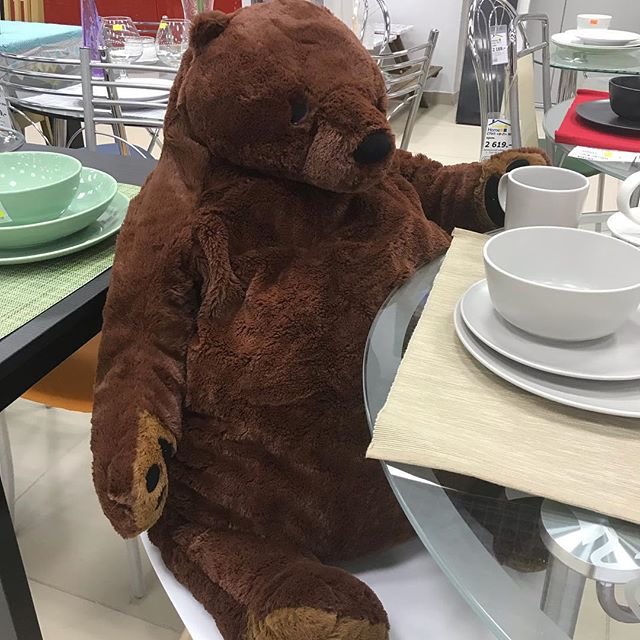 ikea bear ikea bear