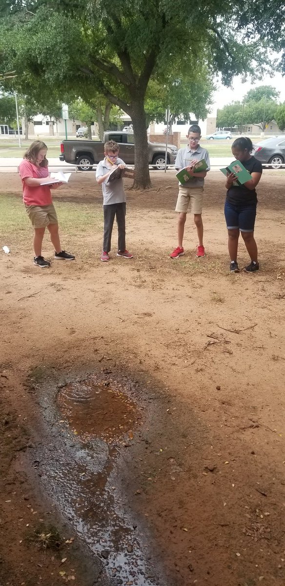 Ms. Amber Drake tweet media