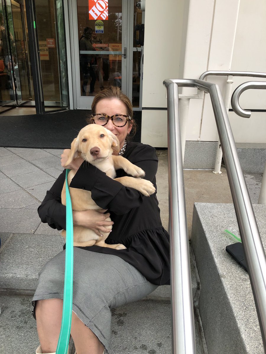 RobinMarcov's tweet image. Rosie loved her first visit to the SSC! Are there doggy aprons? 🧡 @sherryyaskin @JBHomeDepot