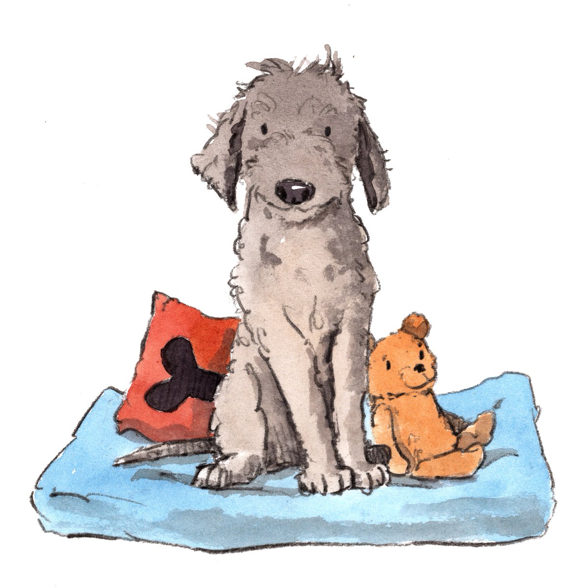 Good night lovely people and lovely dogs!! I hope that you've had a great Friday!! It has been gloriously hot and nice here. I hope that you all have an exciting weekend. 
#hoorayfordogs #bedlingtonterrier #teddybear #sleepwell