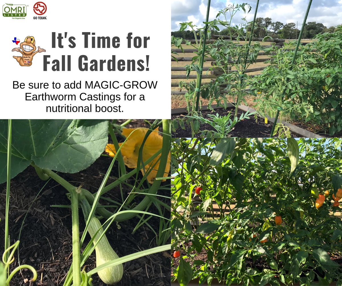 magicwormranch's tweet image. Come see us Sat 9-1. We have plenty of earthworm castings to feed your soil &amp;amp; plants! #wormcastings #soilamendments #organic #nutrientrich #soilmicrobes #soilfoodweb #soilhealth #planthealth #livingsoil #feedyoursoil #wormpoop #garden #landscape #hempfarmers #microbes #omrilisted