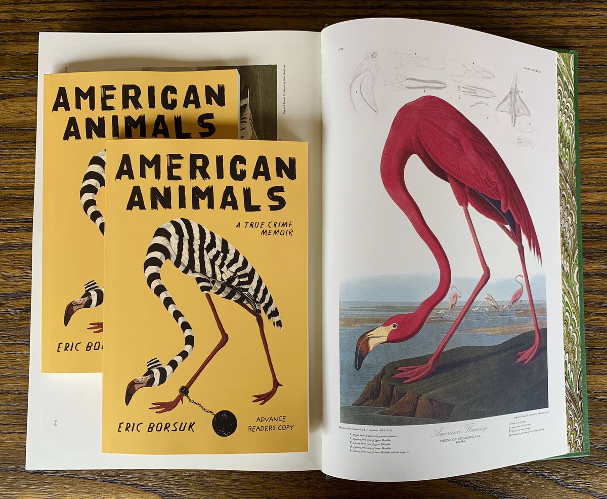 eric borsuk american animals eric borsuk american animals