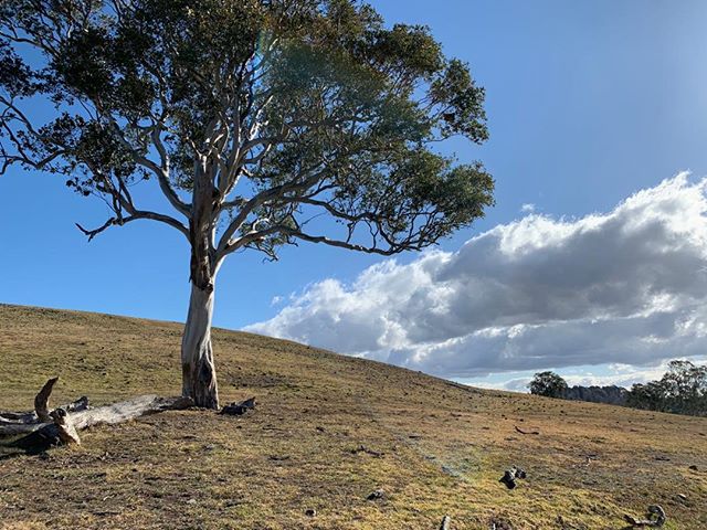 InklingHow's tweet image. Office for the day #adventurer instagram.com/p/B1hVNbsJNPD/