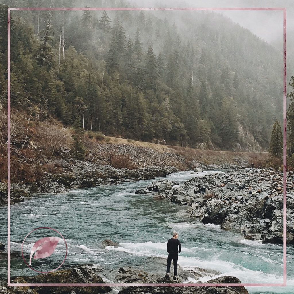 losttolive's tweet photo. Pushing Past the Fear
https://t.co/yqu5p79P9J
#losttolive #solutions https://t.co/Fzr1TSkujy