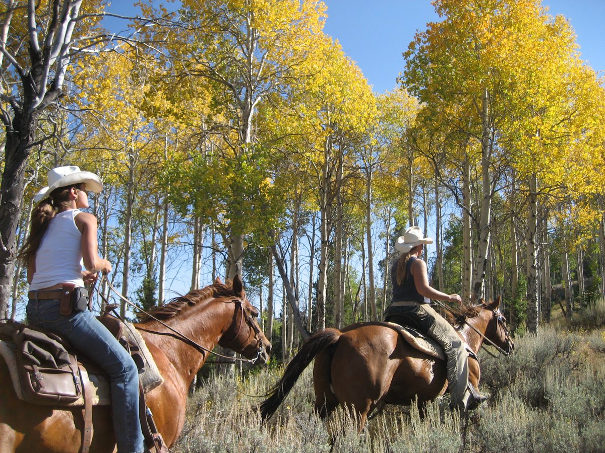 Goosewing Ranch (@GoosewingRanch) / Posts / X