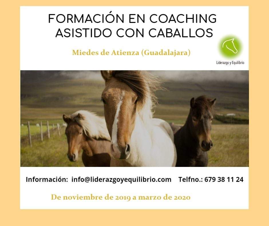 CoachLiderazgo's tweet image. Formación en coaching asistido con Caballos