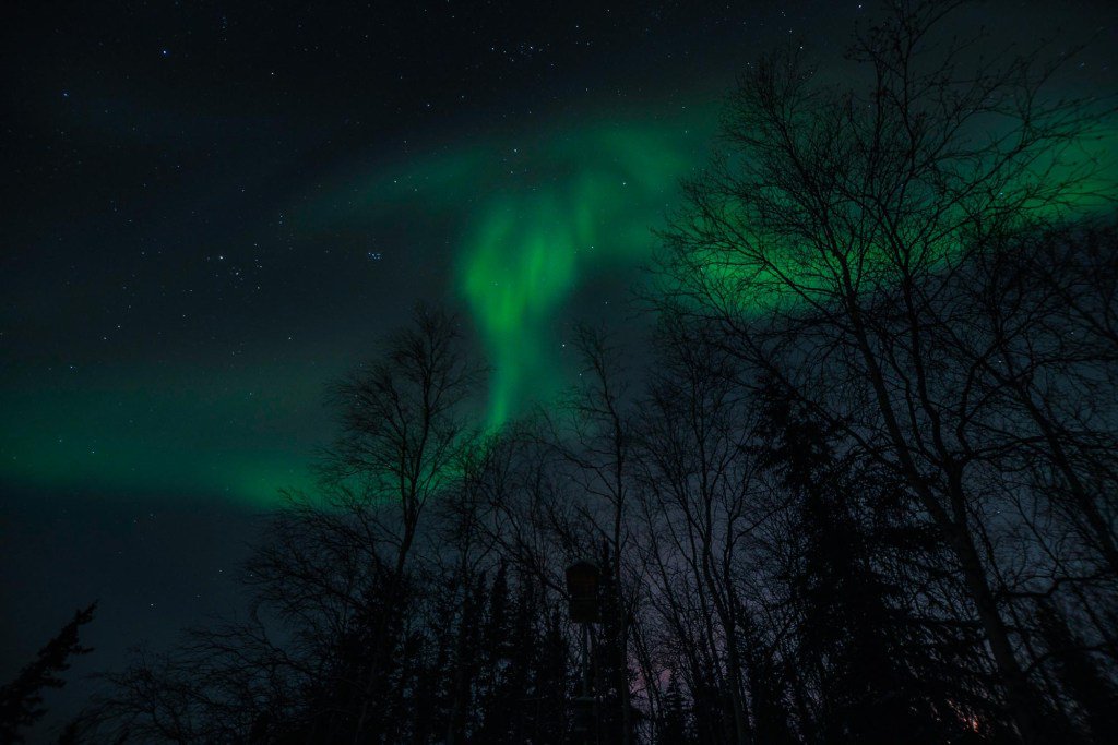 YkOnline's tweet photo. Yellowknife in September - what to expect and pack. #Yellowknife #auroraborealis #visitingyellowknife https://t.co/UpiEhgRVRf https://t.co/fpLt2yiIC6