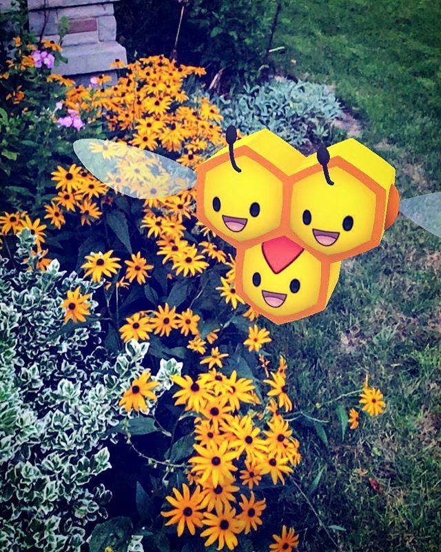 JoltSw1tch's tweet photo. Buzz, buzz... 🐝
#pokémon #pokemon #pokemongo #pokemongo🎮 #pokemonart #pokemongoar #pokemongoarplus #buzzbuzz #gosnapshot #combee #summernights #tgif #flowers #flowerstagram #pokemoninnature #pokemoninthewild https://t.co/Kb19Kl3gti