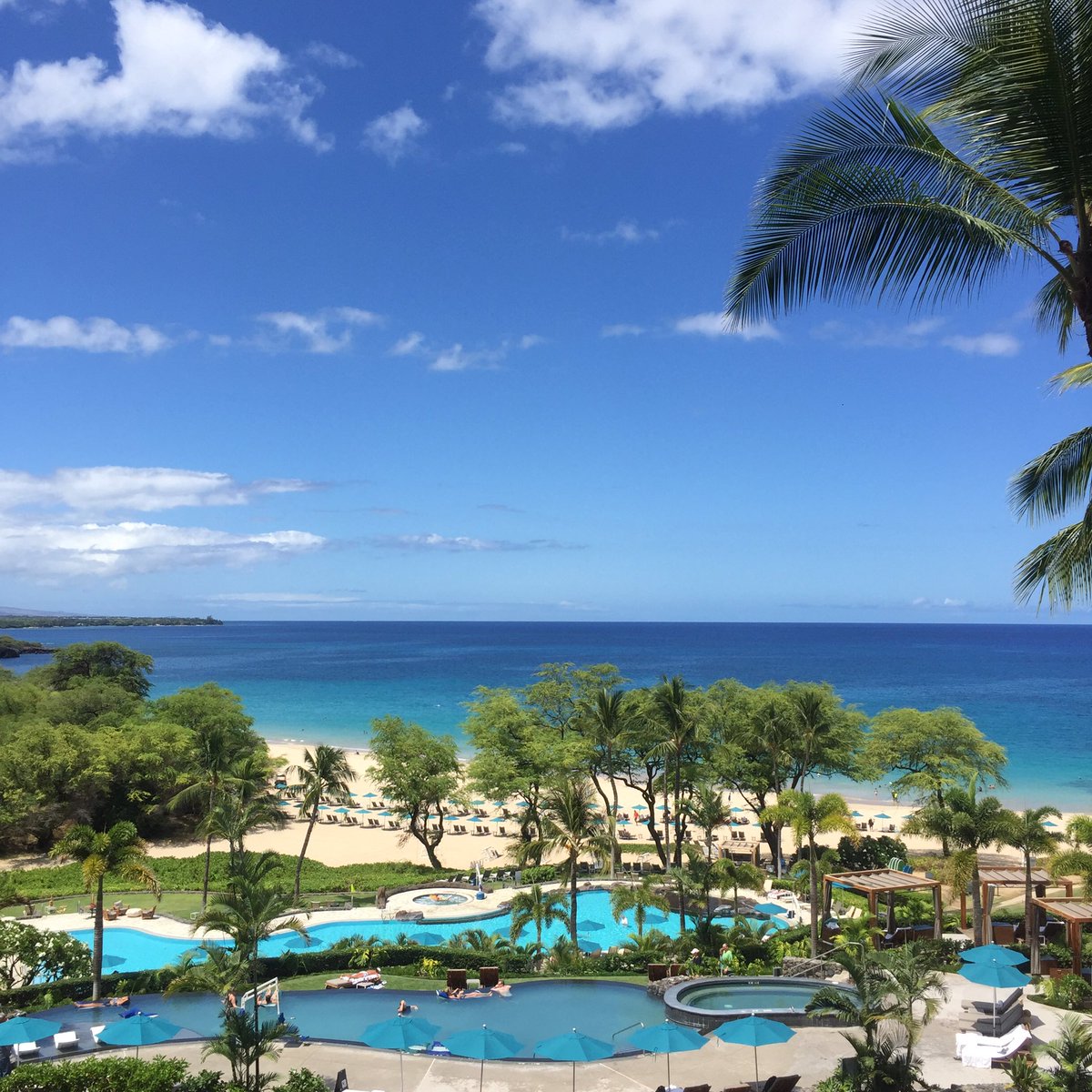 Dr_Jun's tweet photo. 神々の宿る島、ハワイ島。
美しい海と豊かな自然に囲まれた島だ🏝 https://t.co/VKGxcwe6v7