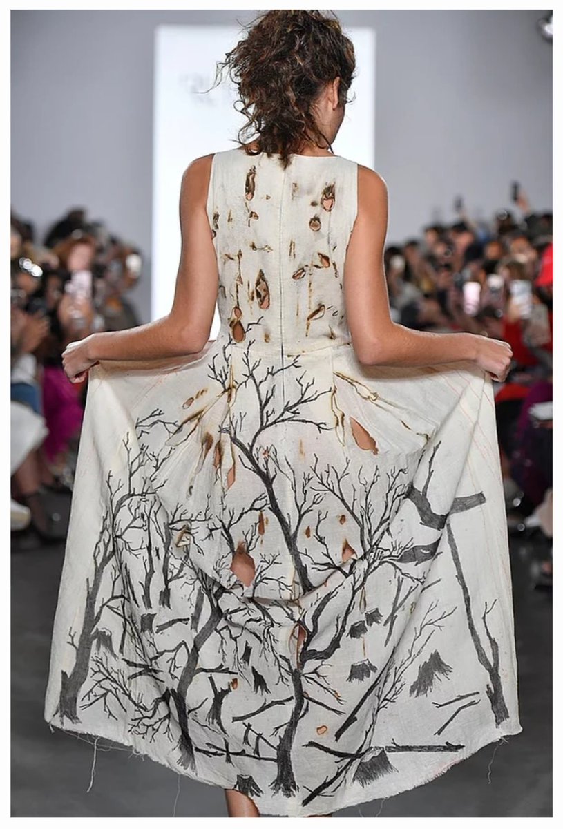 rayruna's tweet photo. My third New York Fashion week was to do with #ClimateAction. The back of my Finale denoted burning forests. The front of the dress were flowers bleeding! Sadly the truth has been realized. What was Imagined is now a Reality. The #Amazon is #burning #runaray #ActNow https://t.co/Y9pFQIwo2B
