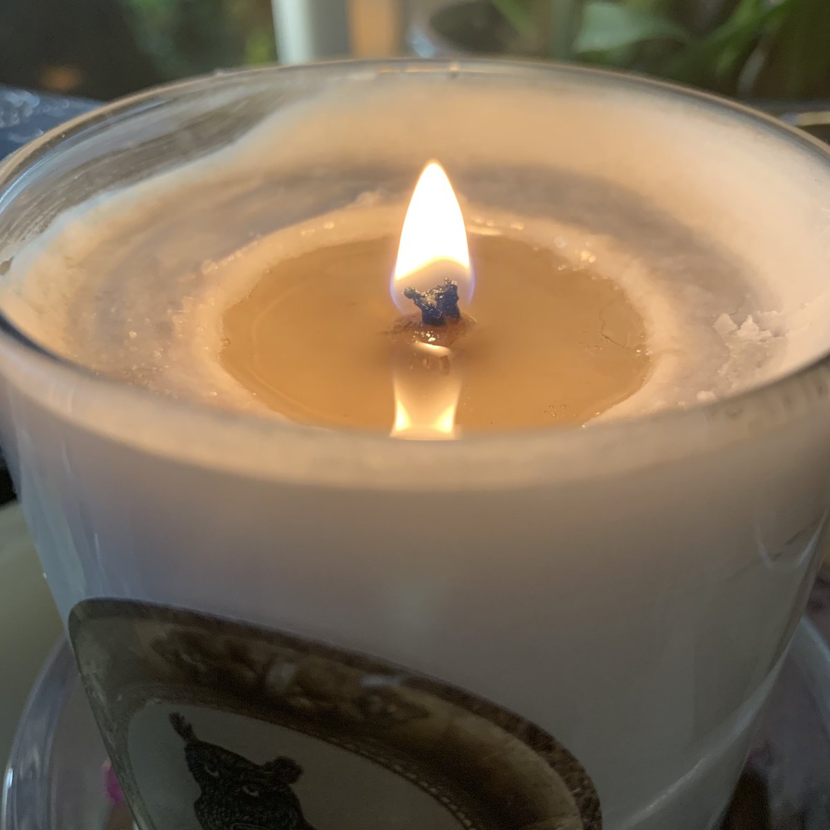 JMorgynWhite's tweet photo. Midnight Writers Club is happening. Candle is lit and music is in. Who is writing? #denimag #midnightwritersclub #amwriting https://t.co/Vi39R6JBAs