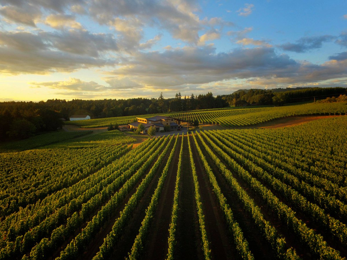 Great to be among this lineup of outstanding producers! Give this a read... Oregon’s Ascent: The World Class Wines of Willamette Valley drinkinsider.com/2019/07/world-… #oregonwine #willamettevalley