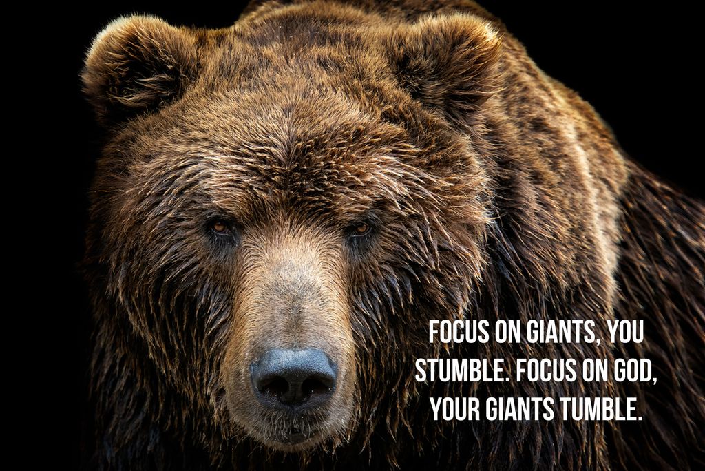 TheBearMan's tweet photo. And David said, “The Lord who delivered me from the paw of the lion and from the paw of the bear will deliver me from the hand of this Philistine.” And Saul said to David, “Go, and the Lord be with you!” - 1 Samuel 17:37 https://t.co/O7FadV36Sw