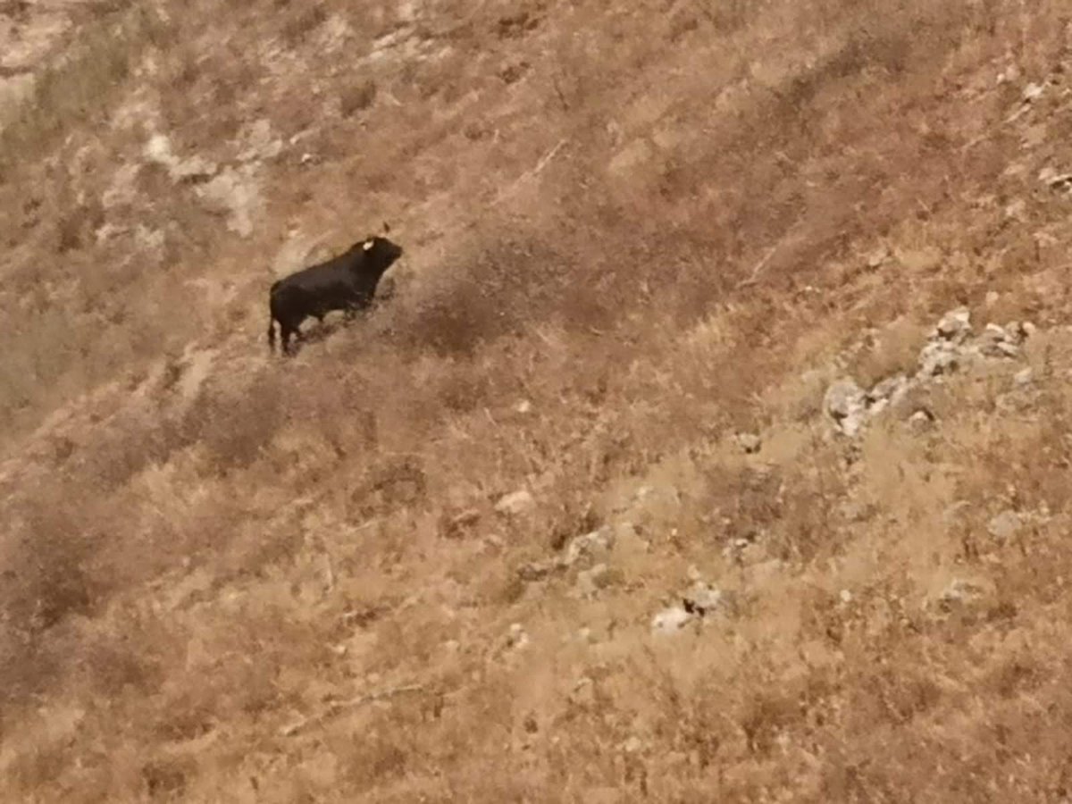 De nuevo éste año hemos preparado un gran operativo de seguridad para participantes y vecinos en Fiestas Uceda. Con ayuda de Agrupaciones P.C. Alcala H, Albares, Ajalvir,Azuqueca,Galapagos,Guadalajara, Mejorada, SantosH,Loeches,Vadeavero,Torrejon Ardoz,Torremocha,Cabrera. GRACIAS