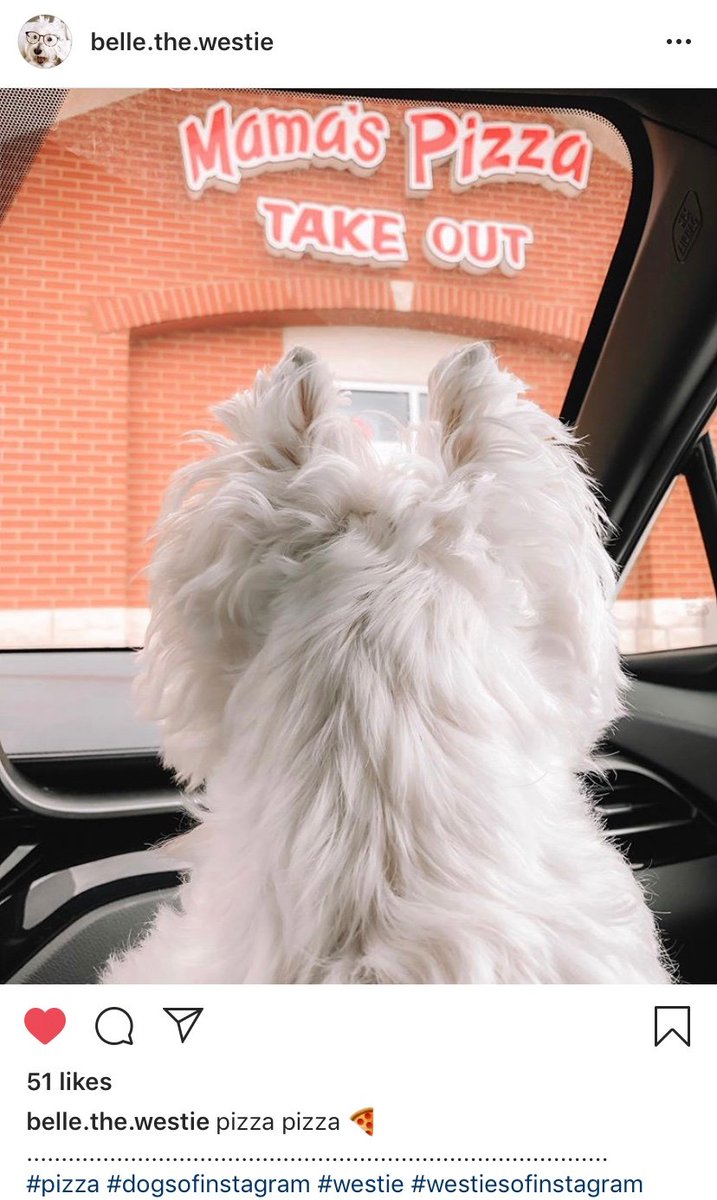 We love this photo from Instagram! Pups &amp; pizza, what better way to spend a Friday?!