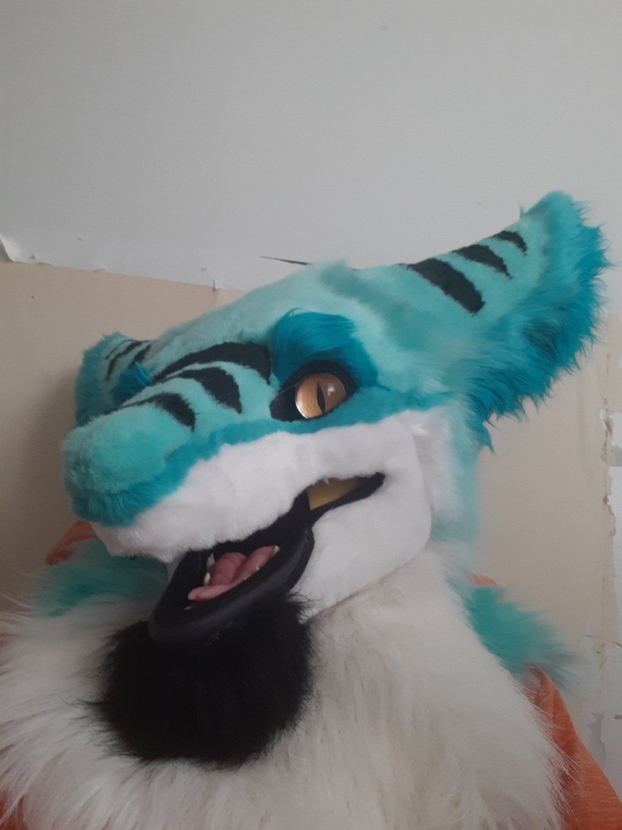 StevenSergall's tweet photo. Happy friday ^-^
Figured I post a few photos of my first event in Steven Sergall by an amazing maker @Monstercatsuits 
Was gifted to me by a coworker.
#FursuitFriday https://t.co/TdlbKxxre5