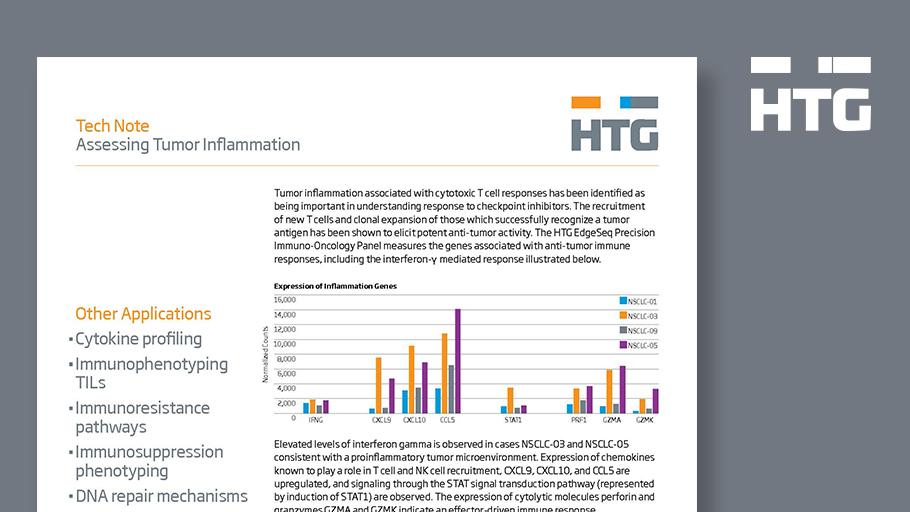 view speculative execution in high performance computer