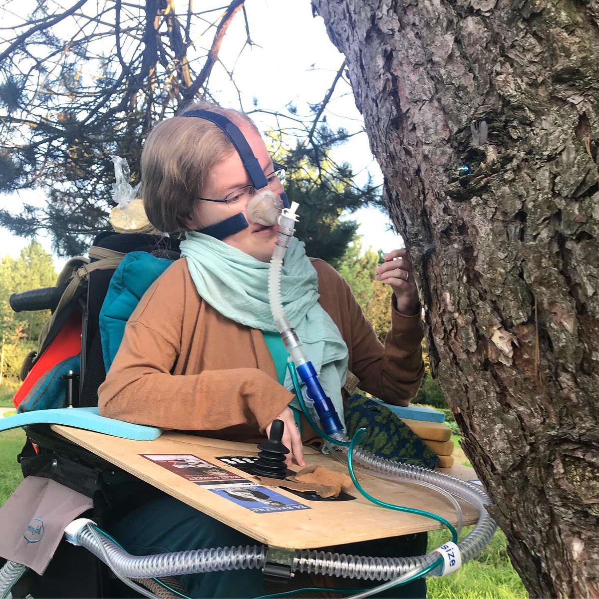 ChushiGloria's tweet photo. I touched a tree today. https://t.co/BZjme4tXJF