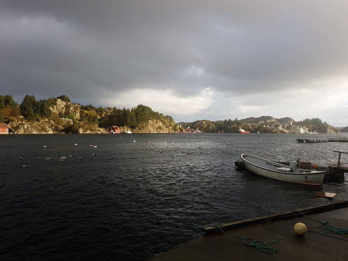 einfachWECH's tweet photo. Was nehme ich mit? Was brauche ich für Norwegen?  – Angelausrüstung für Norwegen

https://t.co/GDImrmm3DS https://t.co/5lhOtJS8lb