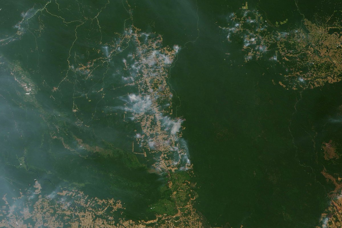 Nasa Earth August 19 Is Continuing An Active Amazon Fire Season With Large And Intense Fires Burning In The Region Nasa Satellites Tracked Actively Burning Fires Across South America And Nasa Earth August 19 Is Continuing An Active Amazon Fire Season With Large And Intense Fires Burning In The Region Nasa Satellites Tracked Actively Burning Fires Across South America And