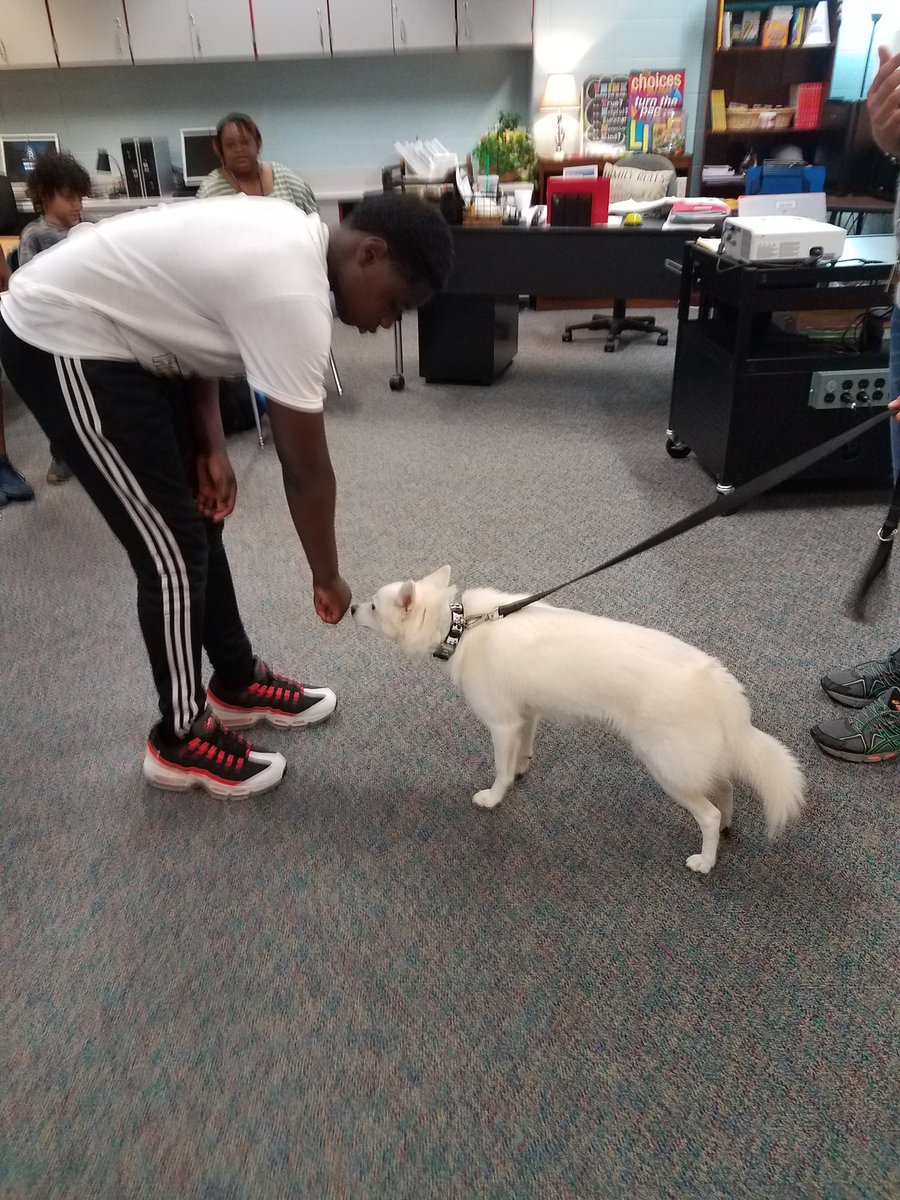 PawSuccess's tweet photo. Quoting The Cure "It's Friday, I'm in love" -w/ this group! Introductions, mixed w/ collaboration, mentoring, &amp; some friendly competition_ what's not to love? It's going to be a great year watching these @StrackKISD pawtners #Rise2Excellence! #dogs #MagicalMoments #KleinFamily https://t.co/1r8gdQCBKq