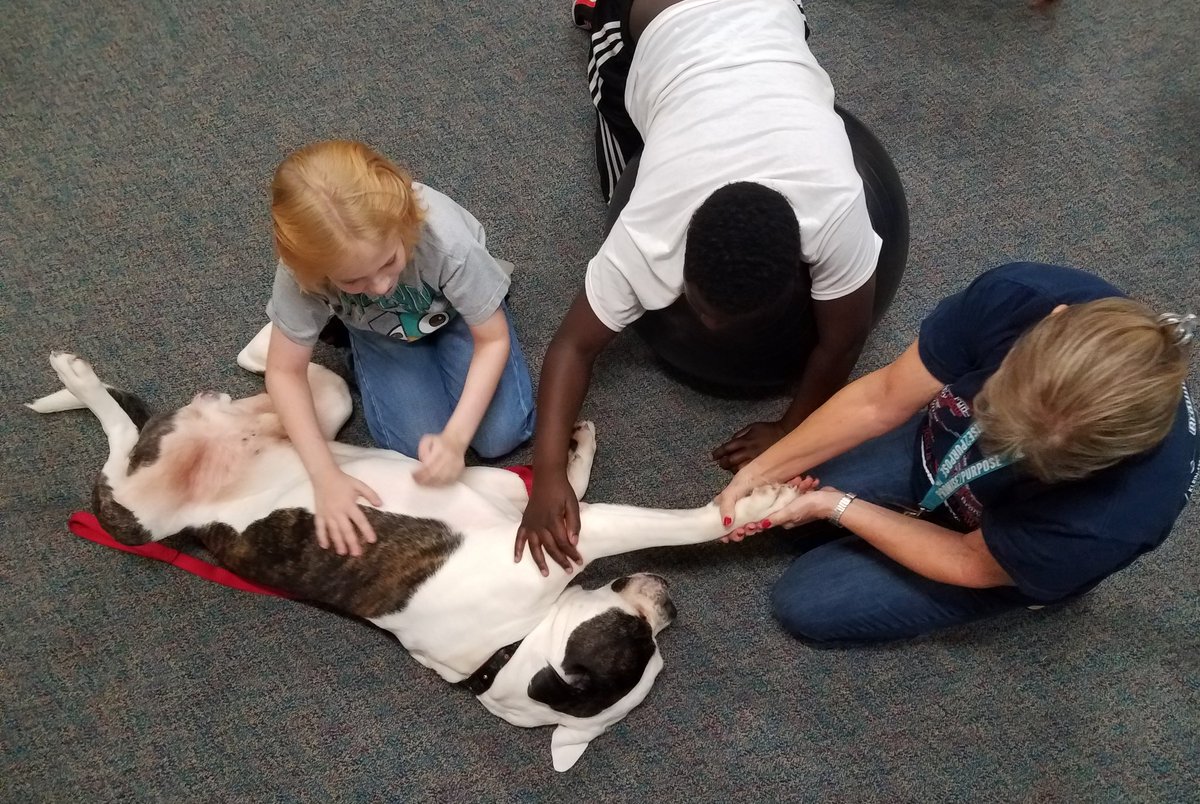 PawSuccess's tweet photo. Quoting The Cure "It's Friday, I'm in love" -w/ this group! Introductions, mixed w/ collaboration, mentoring, &amp; some friendly competition_ what's not to love? It's going to be a great year watching these @StrackKISD pawtners #Rise2Excellence! #dogs #MagicalMoments #KleinFamily https://t.co/1r8gdQCBKq