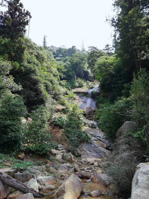 広島滞在を一日延ばせたので、昨日は予定になかった宮島に行って参りました!想像以上にガチ登山でした(^_^;) 