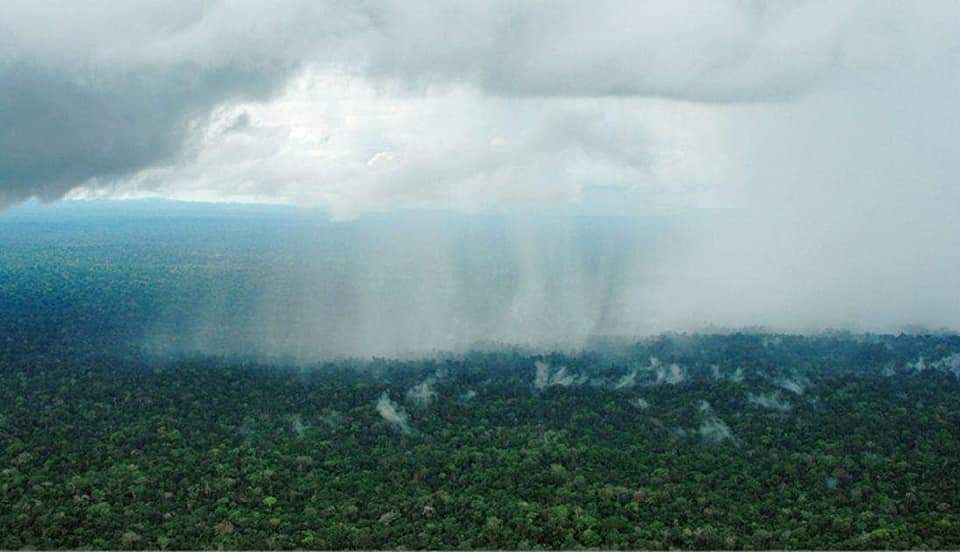 angie_karan's tweet photo. Raining again in the #AmazonRainforest 🙏 https://t.co/cBN083mz3i