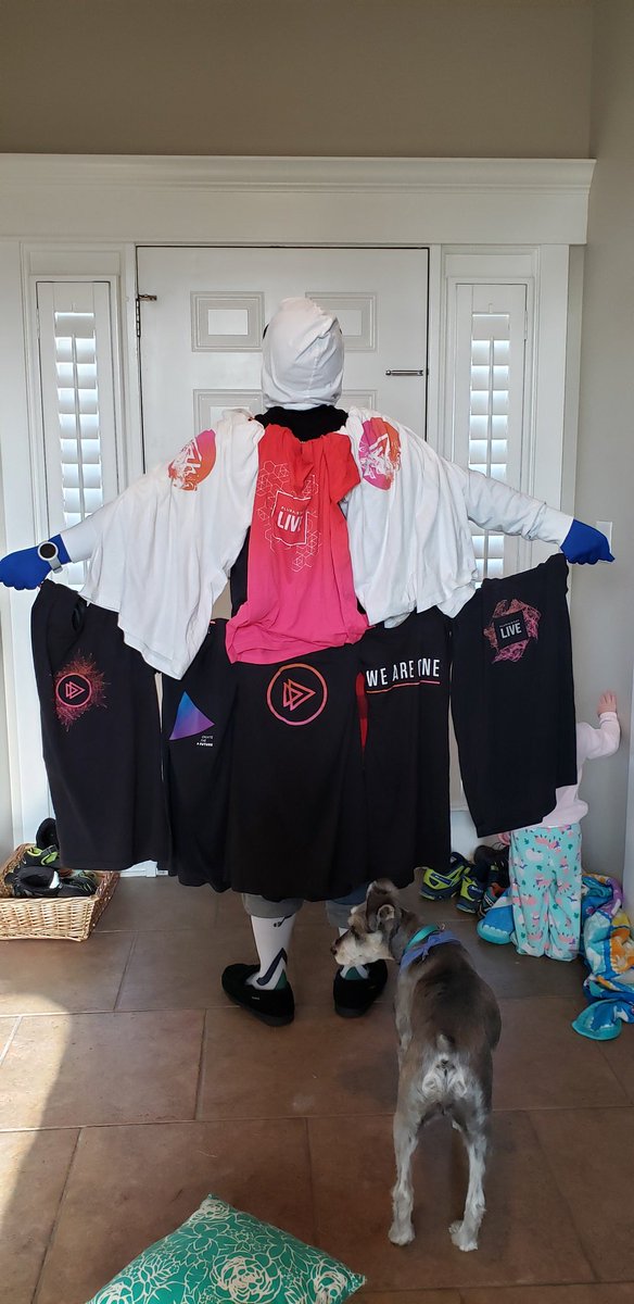 SFDCerikwithaK's tweet photo. @pluralsight is SO awesome!!!  #psLIVE2019 is coming up next week, so this week was spirit week, with a different theme each day.  These are my entries #wearepluralsight https://t.co/dWWcrsIDkx