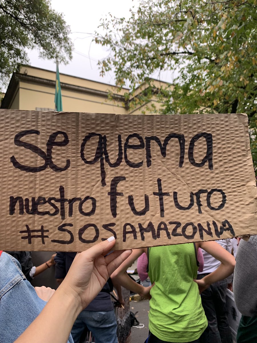 MisionPlanetaAC's tweet photo. Hoy en la Embajada de Brasil en CDMX ¡Levantemos la voz por nuestro planeta! 🌎💪🏼 #ActForAmazonia #AmazonFire @CINUmexico @NTelevisa_com https://t.co/BJ2FucqoVu