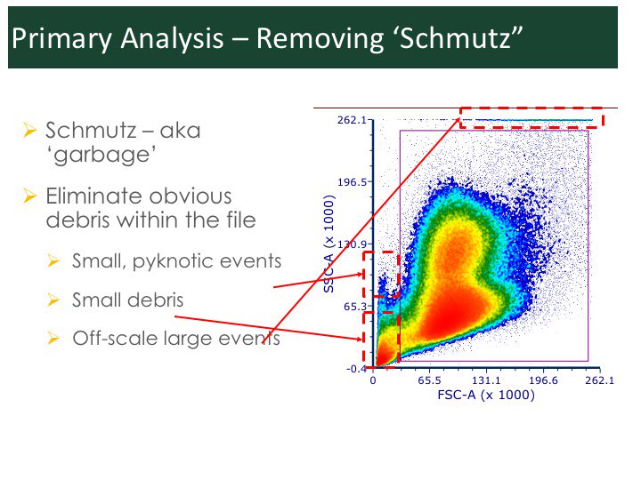 ExCyted's tweet photo. Gating out the schmutz before starting detailed analysis. #ExCyte #FlowCytometry #DataAnalysis https://t.co/JhXYQhhr8h