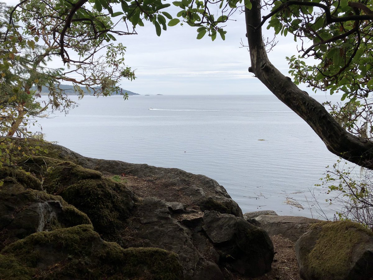 bcmagazine's tweet photo. I highly recommend Beecher Bay if you’re in the Sooke area! Easy to get to, the sand was soft and clean, and the view is beautiful! There’s a trail if you want to explore more of the shoreline and see petroglyphs. #sooke #vacay #beecherbay #aylardfarm #bcparks https://t.co/6ZvuHT8rLg