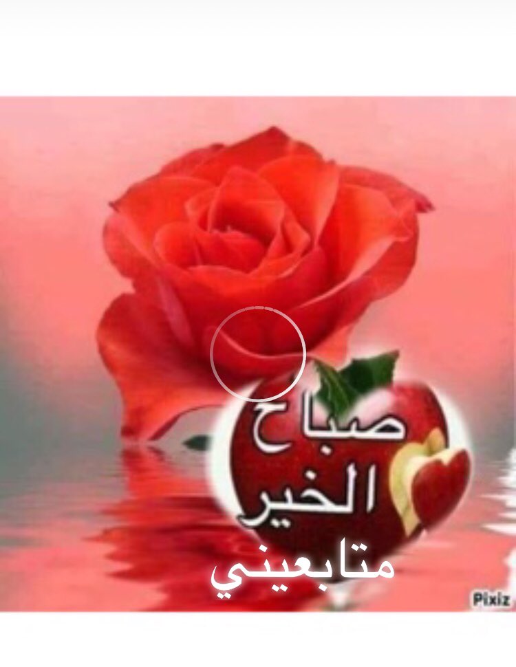 ali_at7's tweet photo. https://t.co/U7tLFL4joC