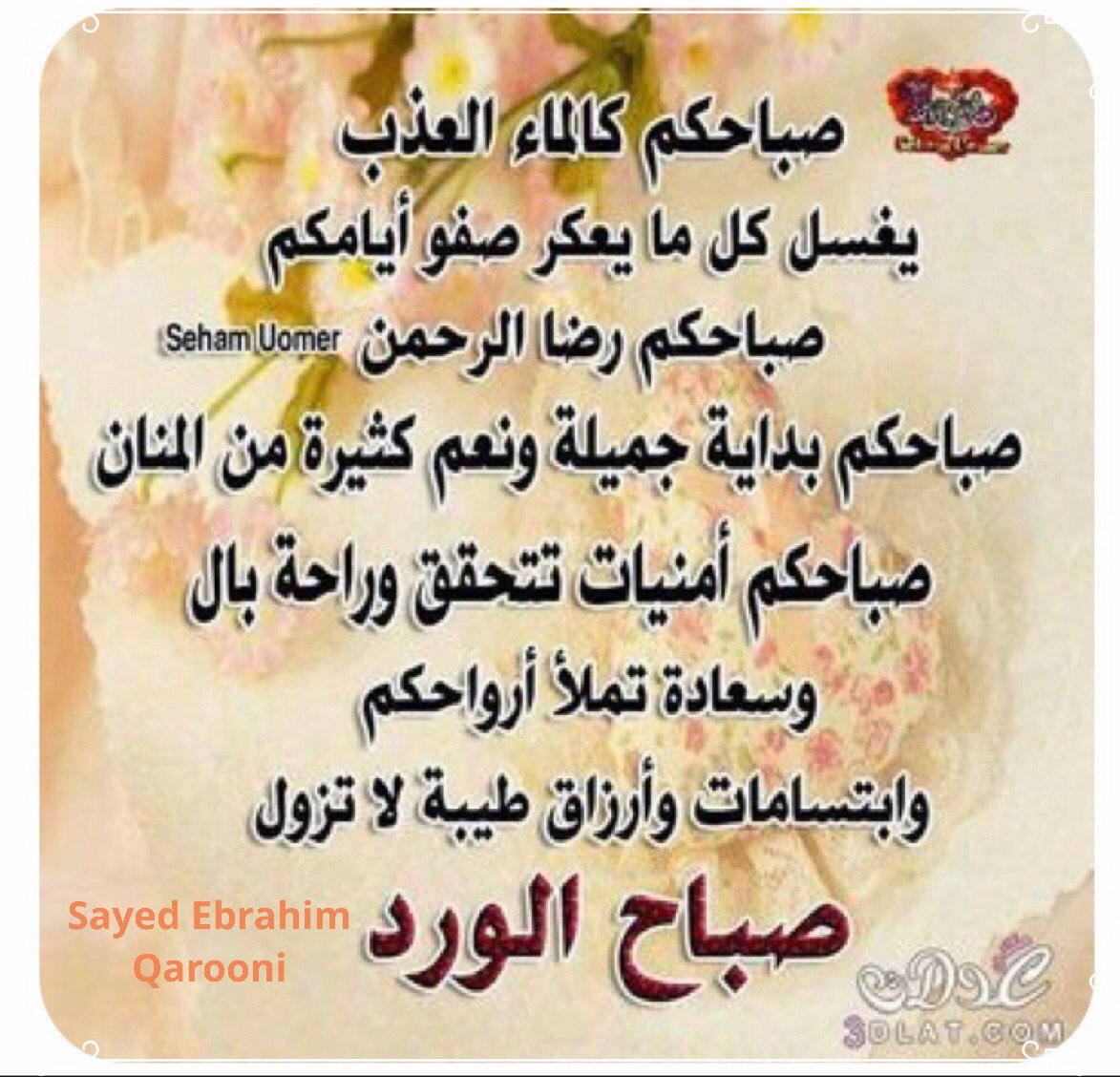 Sayed37445 tweet picture
