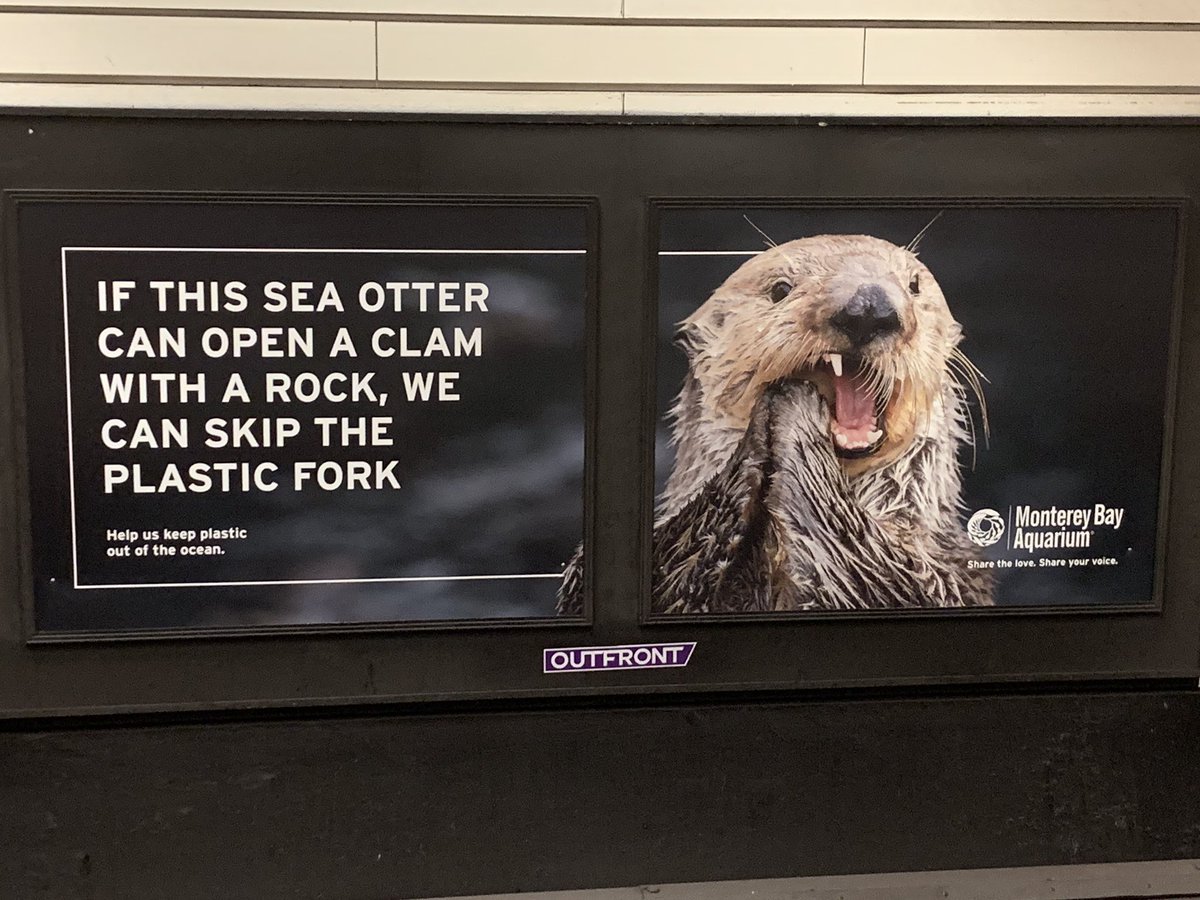 TylerMaster18's tweet photo. Monterey Bay Aquarium x BART are tired of everyone’s shit https://t.co/VyjpJliTtk
