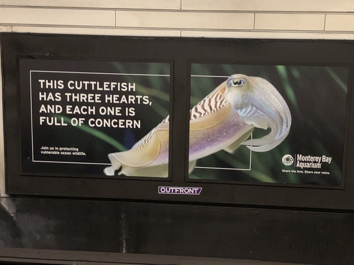 Monterey Bay Aquarium x BART are tired of everyone’s shit