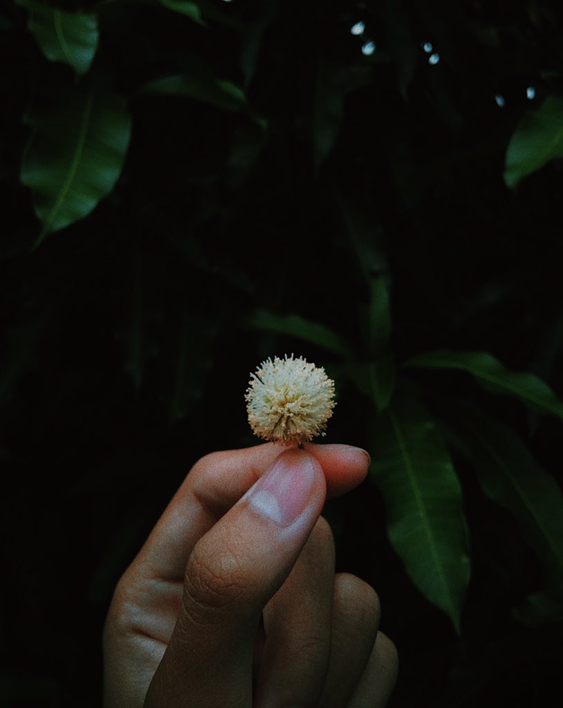 yooga3gp's tweet photo. kemarin dunia terlihat sangat indah Dan denganmu merasakan ini semua Melewati hitam-putih hidup ini.
#projects #visual #artvisual #fujifilm #iphoneonly #shotoniphone #Indonesia #minimalist #minimalism https://t.co/NP2jrVAmeZ