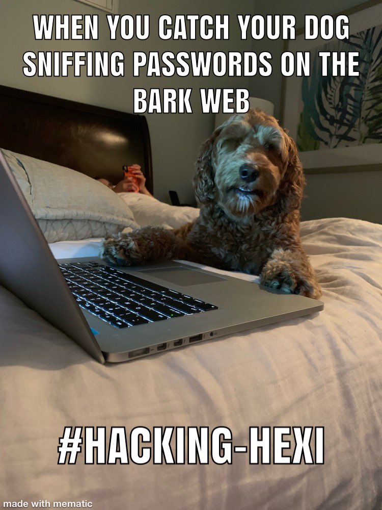 Tim Bandos tweet media