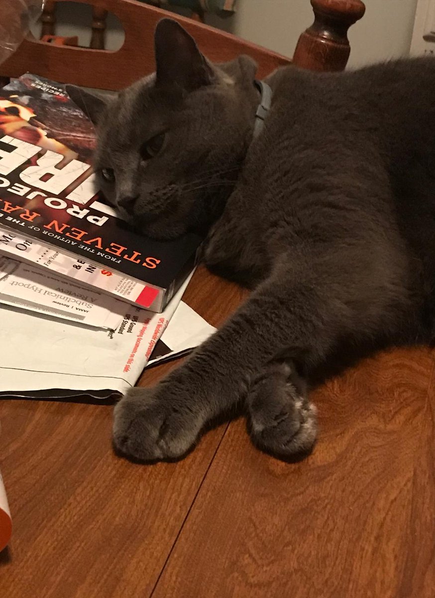 ZooksLane's tweet photo. My cat is preventing me from continuing to read my new book! He will move if I offer some brisket though. https://t.co/NkloYIf2fW