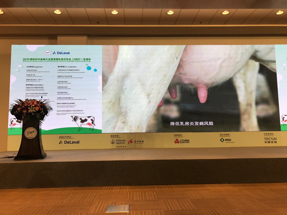The 2019 International Dairy Cattle Disease Conference &amp; NMC Meeting