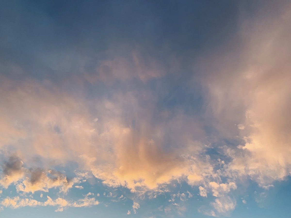 snapgraz's tweet image. Friday night rim light

@vsco @alwayssunny @phillymag @visitphilly @nature @SouthJerseyMag