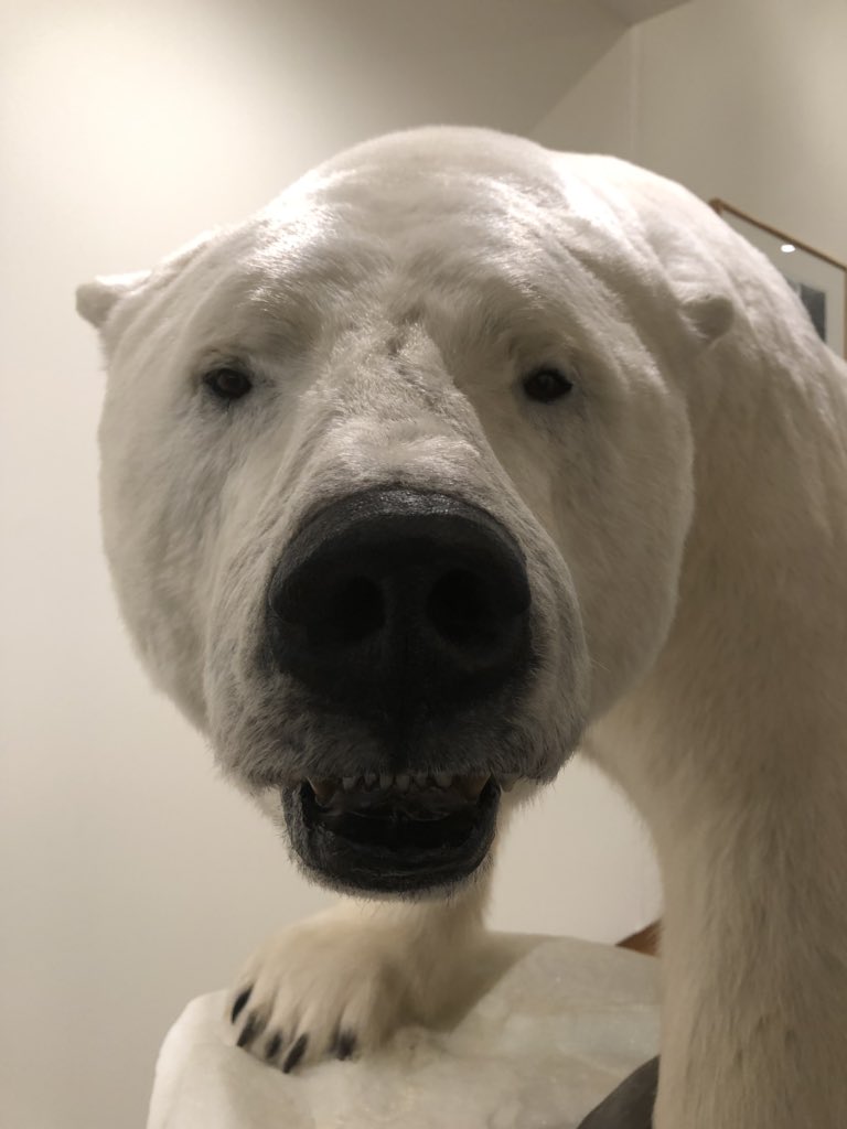 dcconnerhistory's tweet photo. Have you been to any cool museums lately? Eh @TheDennos https://t.co/3yrZYLpuvI