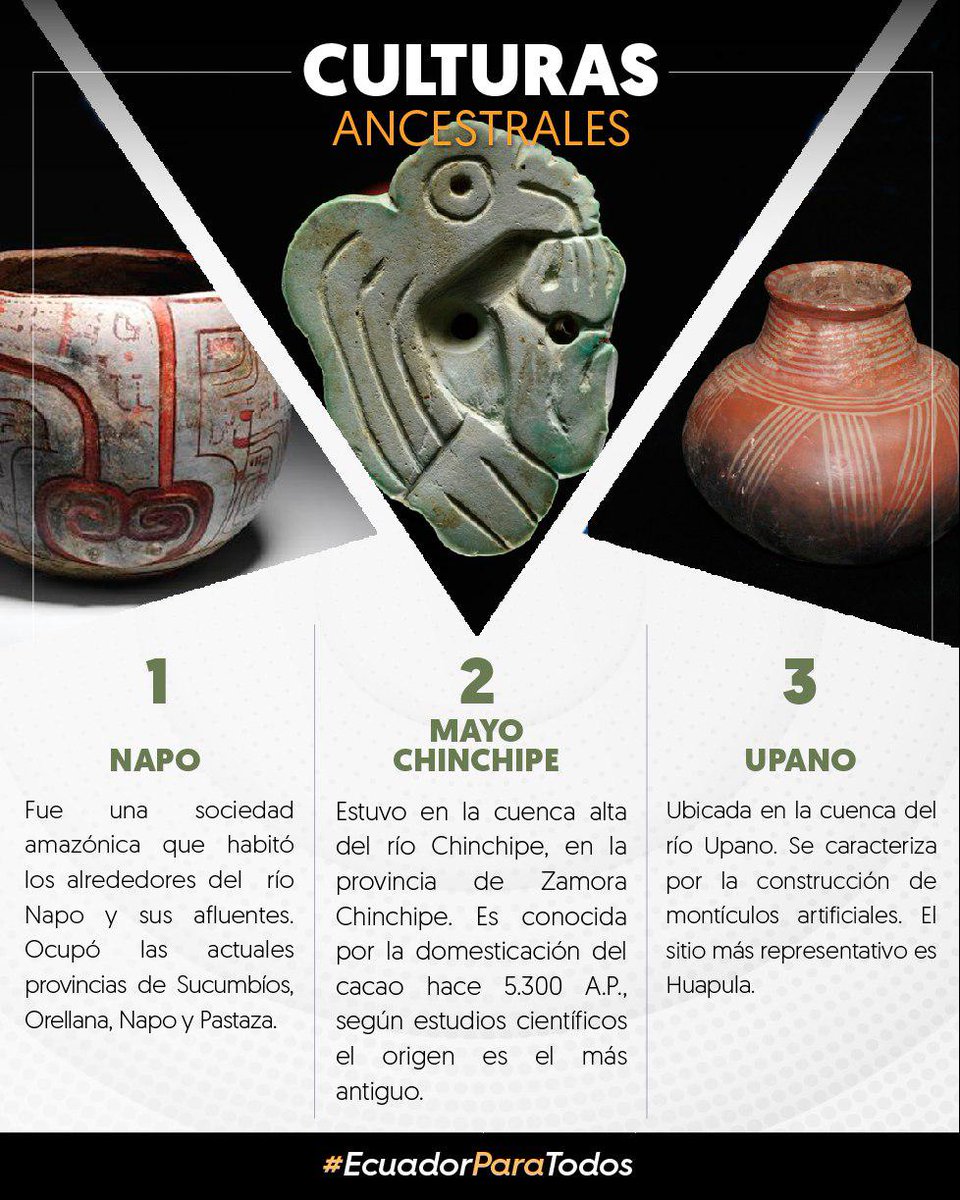 Las culturas que poblaron nuestro país en siglos pasados, fueron diversas, y nos dejaron un gran legado histórico de monumentos, objetos y costumbres. Te invitamos a enterarte más de algunas culturas ancestrales que habitaron el #Ecuador.

#EcuadorParaTodos