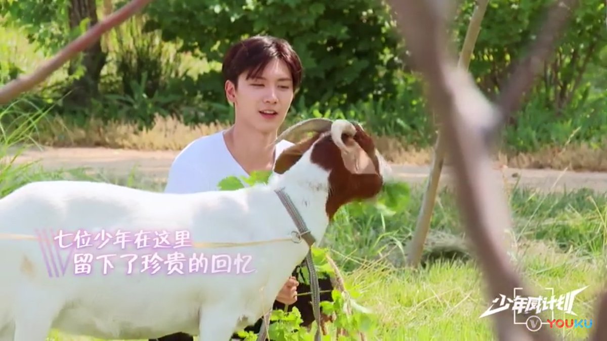 la_vieira's tweet photo. E o tanto que eu amei o Dream Plan do @WayV_official? #TEN #WayVDreamPlan #wayv #WayVDreamPlan_EP1 #WayVDreamPlan_EP2 ANSIOSA PELO #WayVDreamPlan_TEN no #WayVDreamPlan_EP3 https://t.co/fOh9tegxzg