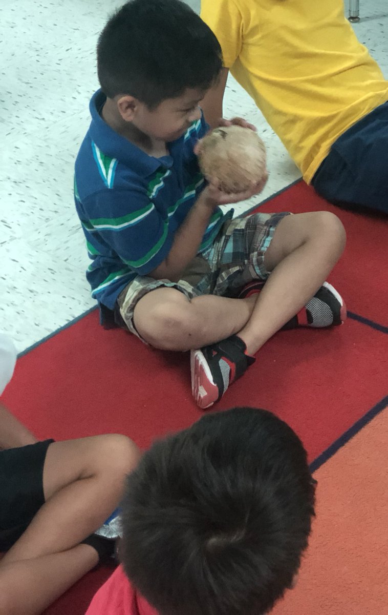 We ended our chicka chicka boom boom week with a bang! We tasted coconuts 🥥 and made our own tree🌴 ! #kinderkids #reading <a href="/LamarElementary/">Lamar Elementary</a>