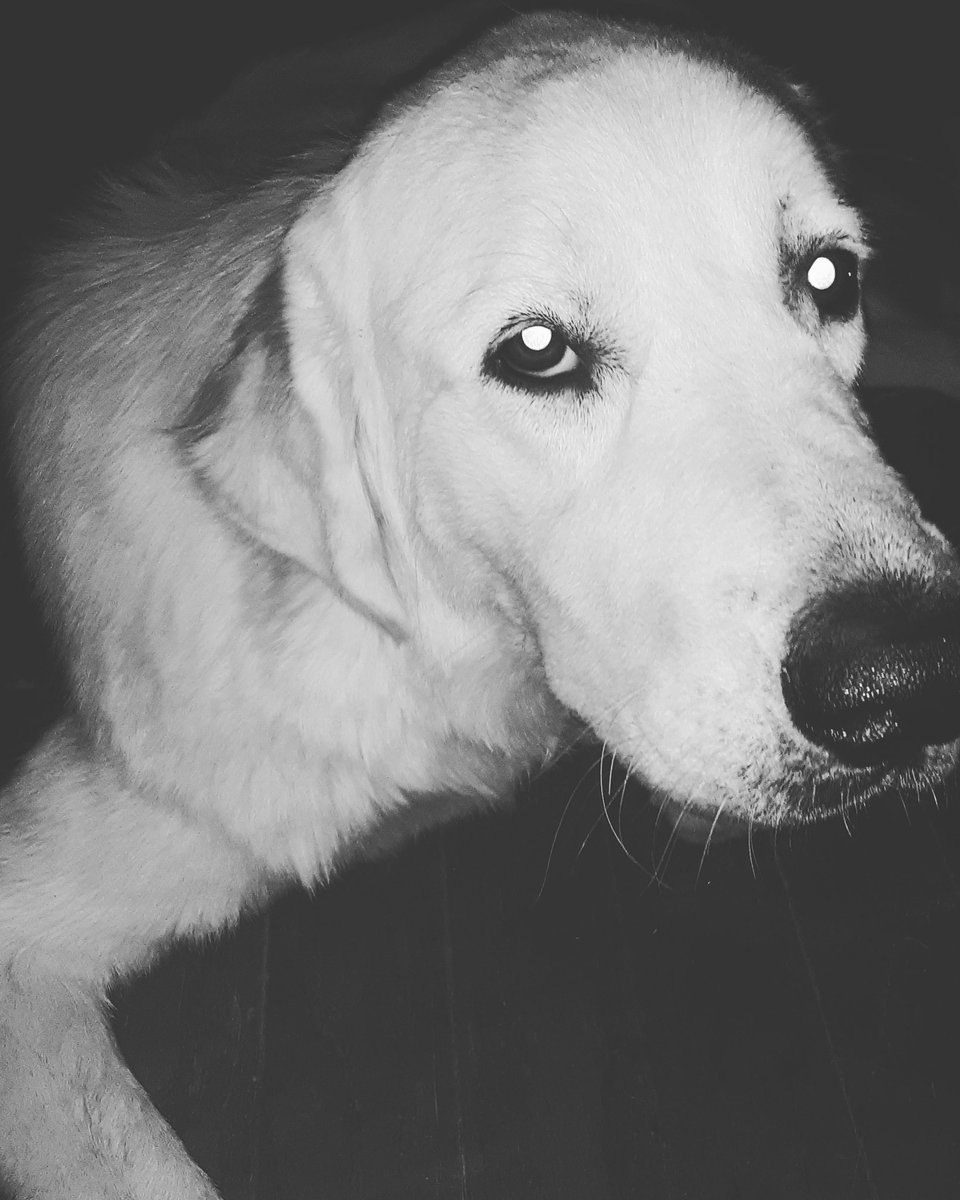 Lexie Treguboff tweet media