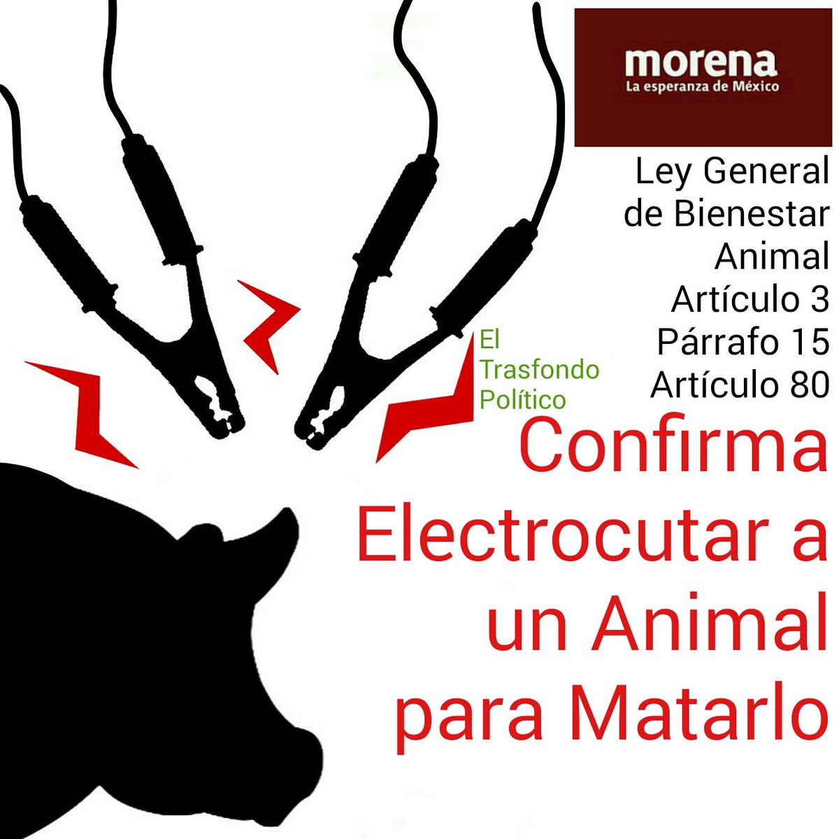 CultuAntiTauri's tweet photo. @PartidoMorenaMx #MORENA @Partido_Morena #Especista  @MorenaExterior_ #Sadicos @DiputadosMorena #Taurinos  @FuerzaMorenaMX #Galleros  #MORENAEspecista #DisneyPlus  #ComandanteBorolas #AMLO #D23Expo https://t.co/fZHmgqCSY6