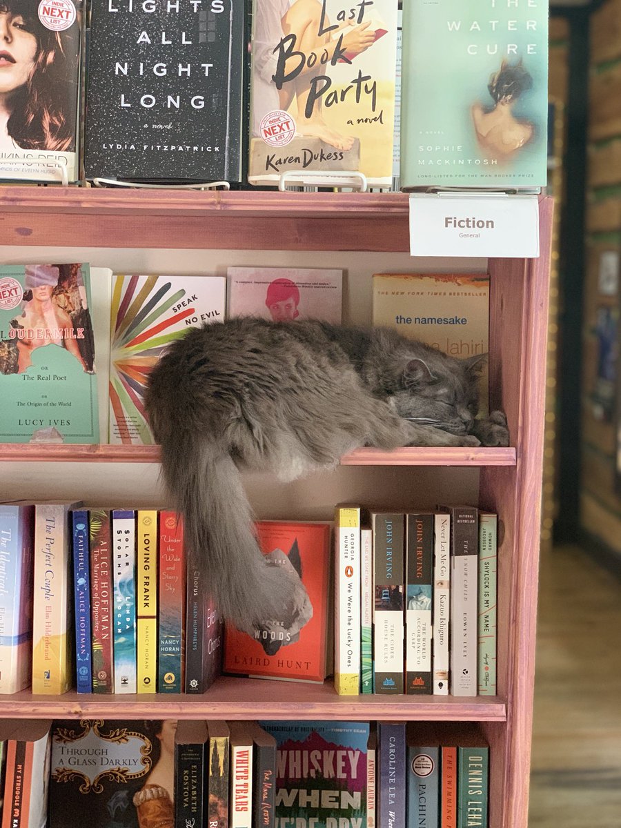 envyenby's tweet photo. Had a surreal bookstore moment today https://t.co/8B9hYRp5yn