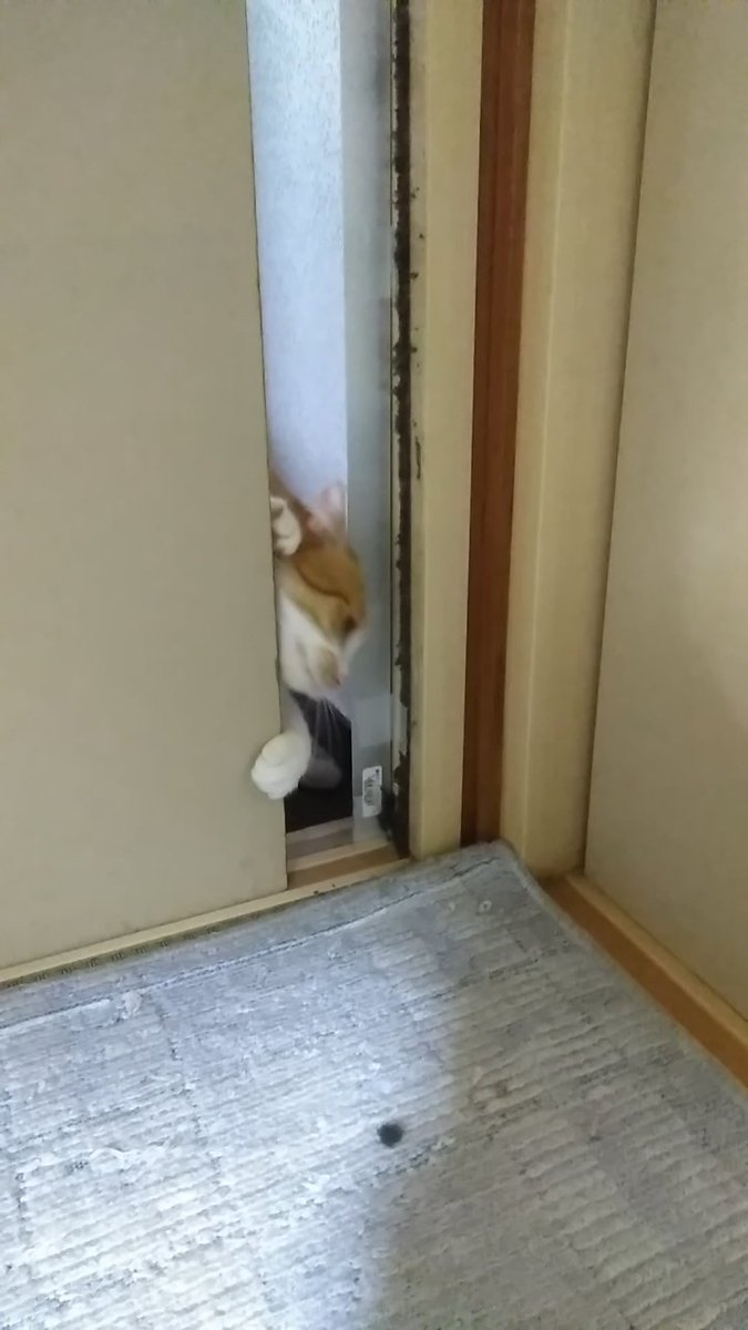 不正入場